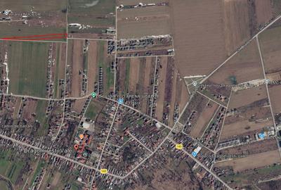 Teren Construcții intravilan de 10000 mp, în Dragomirești-Vale - 5
