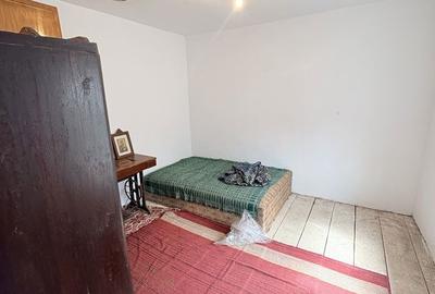 Casă cu 4 camere cu Teren 6294 Mp în Cerbu - 4