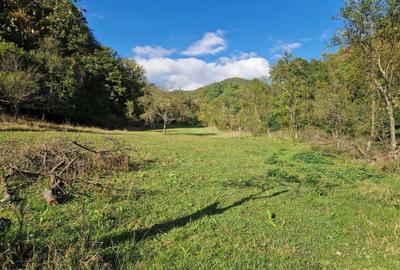 Spațiu comercial, în Hărțăgani - 7