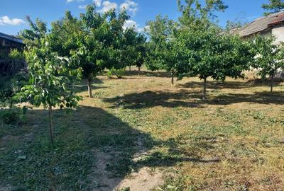 Casă cu 5 camere în Grojdibodu