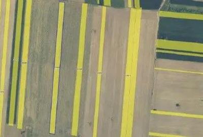 Teren Extravilan Albesti Paleologu, ID: R2586757 - 5