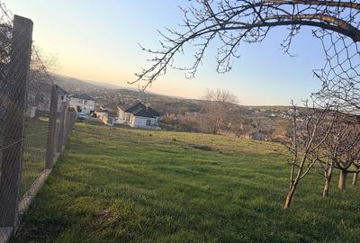 Spațiu comercial, în Vlădiceni - 3