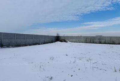 Teren intravilan 600 mp, zona Luceafarului-Stelelor, imprejmuit, Chiajna - 5