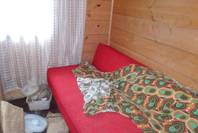 Teren de 1601 mp, în Vulcan - 3