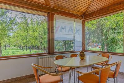 Casa CU POVESTE rezidential/ vacanta in Teliu cu 1700 mp teren! - 9