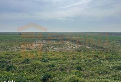 Teren de 10000 mp, în Valu lui Traian - 4