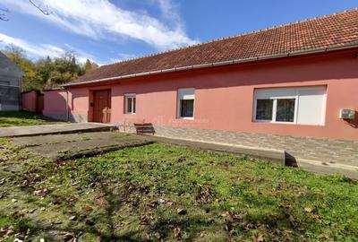 Casă cu 5 camere cu Teren 1800 Mp în Ciuchici - 8