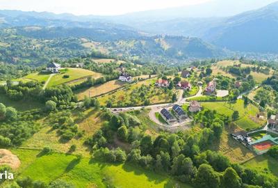 Spațiu comercial, în Sohodol - 18