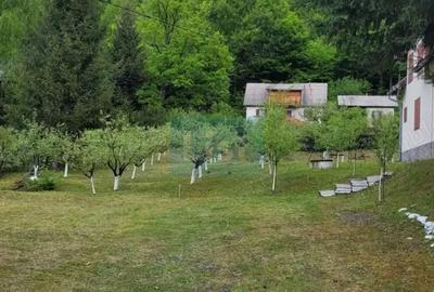 Casă cu Teren 2000 Mp în Răstolița - 8