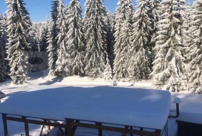 Casă individuală cu 5 camere cu Piscina în Beliș - 19