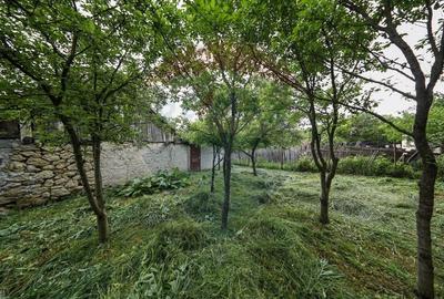 Casă cu 5 camere cu Teren 396 Mp în Ungra - 20