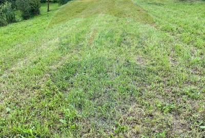 Teren de 1884 mp, în Giulești - 5