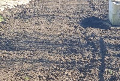 Casă individuală cu 5 camere cu Canalizare în Lumina - 12