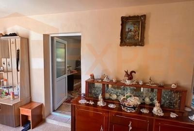Casa in centrul Cobadinului - 10