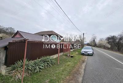 Casă cu Teren 1852 Mp în Ciuperceni - 4