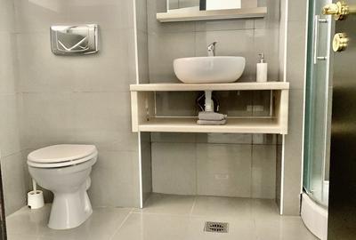 Apartament 4 camere vedere Panoramica catre parcul Herastrau - 11