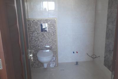 Duplex cu 4 camere cu Canalizare în Săftica - 21