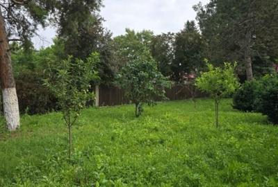 Casă individuală cu 17 camere cu Teren 2231 Mp în Pasărea - 9