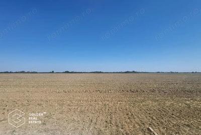 Teren Mosnita Noua, 11600 mp - 3