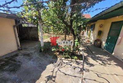 Casa individuala Freidorf - 3