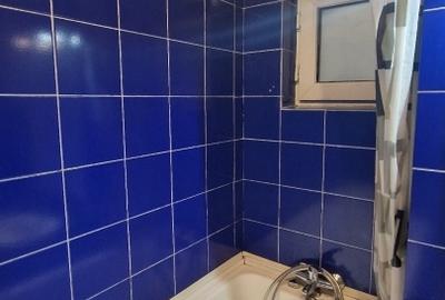 Apartament 3 camere Giurgiului – etaj 3, bloc reabilitat - 7