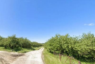 Teren în Autogară - 7