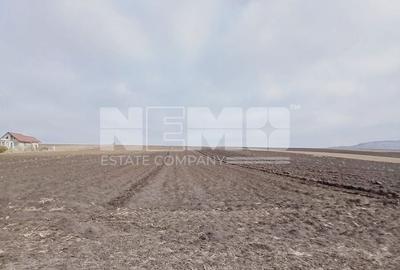 Teren Moara, Suceava I 77 ARI I Preț 2.500 euro/ar - 3