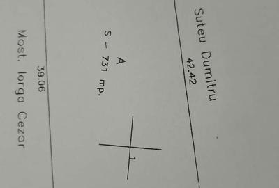 Casă cu 3 camere cu Teren 731 Mp în Plopu - 4