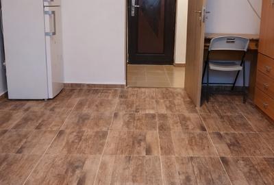 Apartament cu 2 camere semidecomandat, mobilat în Buziașului - 3