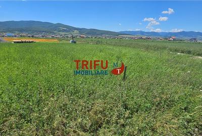 Teren de vanzare cu utilitati racordate si autorizatie de constructie - 2
