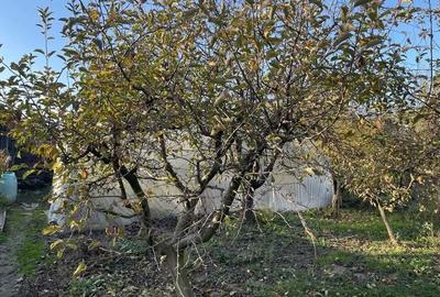 Casă cu 4 camere în Exterior Vest - 6