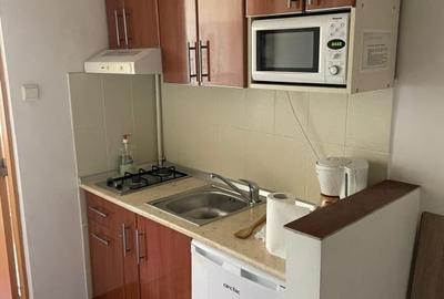 Vanzare apartament 2 camere Grivitei - Chibrit - 17