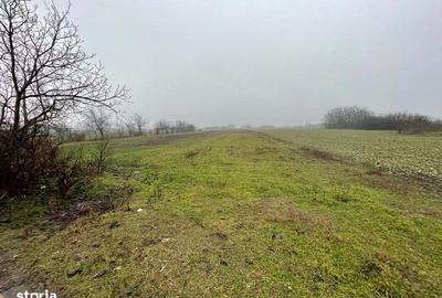 Teren de 6105 mp, în Sălciile - 5