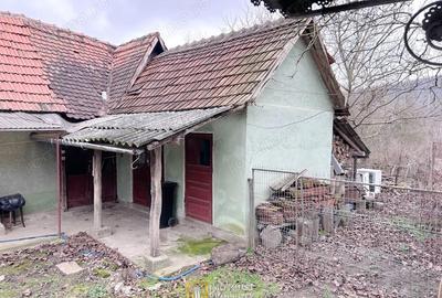 Teren de 3252 mp, în Tauț - 13