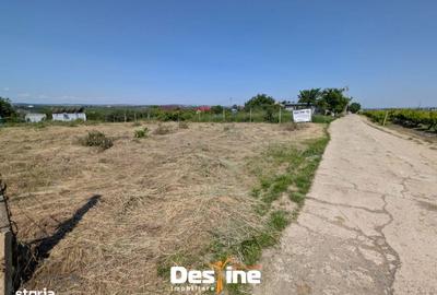 Teren de 974 mp, în Bucium - 4