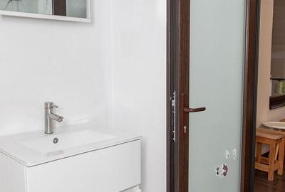 Casă individuală cu 11 camere cu Piscina în Apateu - 25