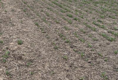 Spațiu comercial, în Vasilați - 1