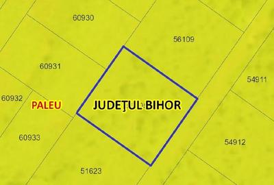 Teren de 1000 mp, în Săldăbagiu de Munte - 6