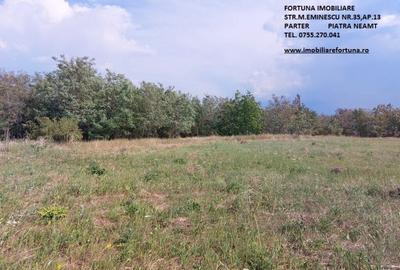 Teren intravilan Piatra Neamt - 5