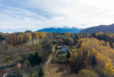 Teren intravilan, cu PUZ, Bran Tohanita,  SE ACCEPTĂ ȘI SCHIMB - 2