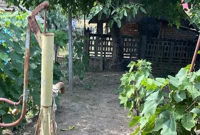 Se vinde CASA, teren intravilan BONUS , suprafata totala 3600 mp - 2