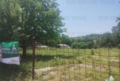 Teren intravilan construibil, excelent potential investition - 6