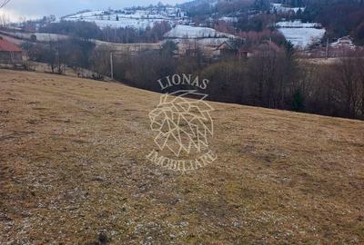 Teren agricol extravilan de 8335 mp, în Vișagu - 1