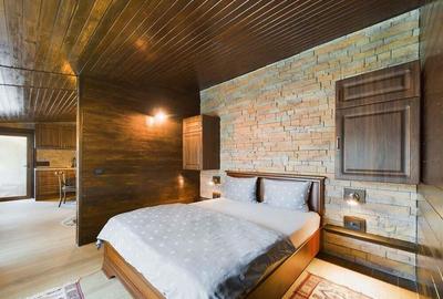 Pensiune de Lux pe Malul Dunarii in Dubova - 7