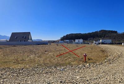 Teren Construcții intravilan de 760 mp, în Sânpetru - 11