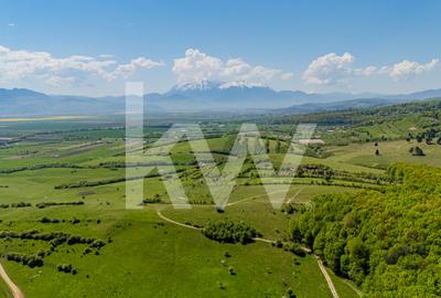 Teren agricol extravilan de 1500 mp, în Codlea - 8