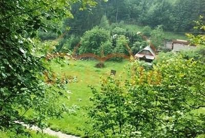 TEREN DE VANZARE IN VARSAG HARGHITA - 10