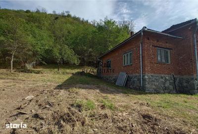 Casă cu 4 camere cu Teren 9563 Mp în Ribița - 8