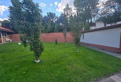 Inchiriere Vila De Lux in Tara Fagarasului Inchiriere Vila De Lux in Tara Fagarasului - 8