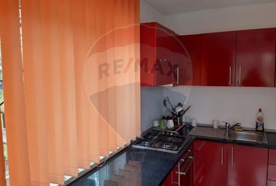 Casa / Vila cu 7 camere de vanzare in zona Tohanita - 14